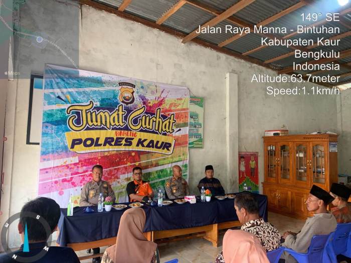 Ayam arab di Tanjung Kemuning, Kaur