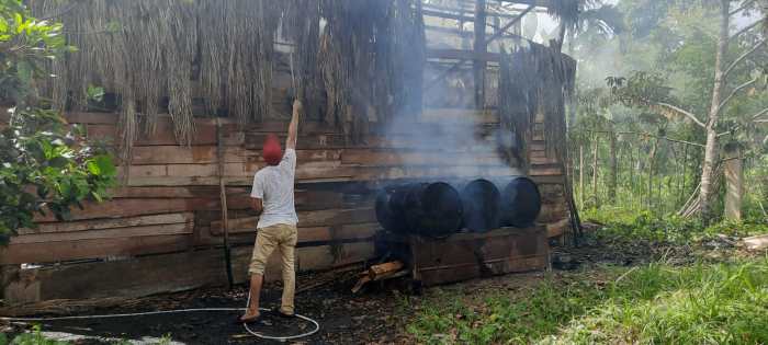 Laka Tunggal! Pengendara Motor Tabrak Lembu Ternak yang Berkeliaran di ...