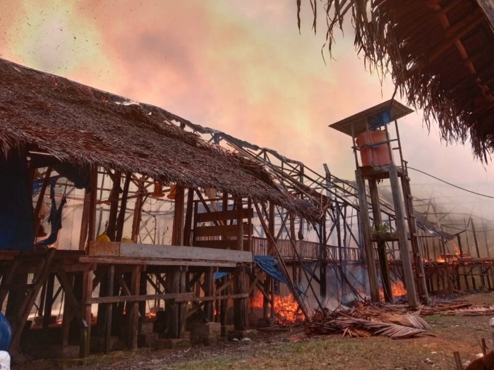 LIPUTAN GAMPONG NEWS | 192 Ternak Terjangkit PMK di Pidie Jaya Sembuh