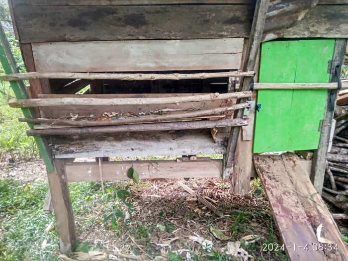 Ternak maggot di Taba Penanjung, Bengkulu Tengah