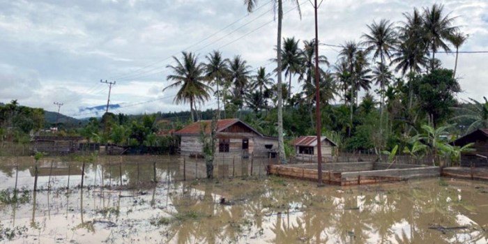 Ternak jangkrik di Dabun Gelang, Gayo Lues