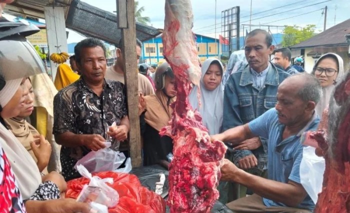 Ternak di Blangpidie Aceh Barat Daya