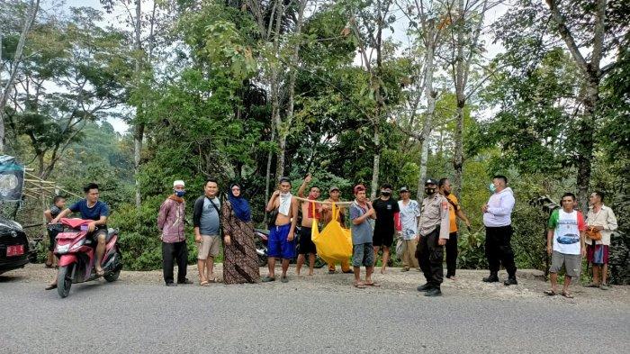 Ayam arab di Binduriang, Rejang Lebong