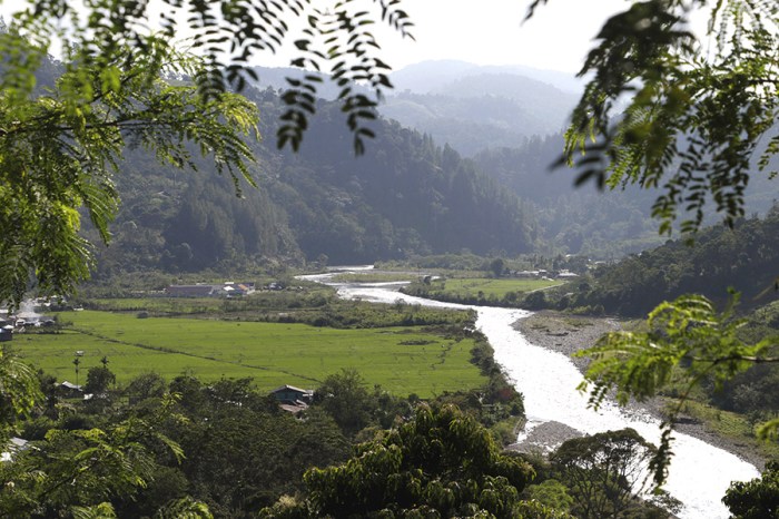 Ternak jangkrik di Dabun Gelang, Gayo Lues