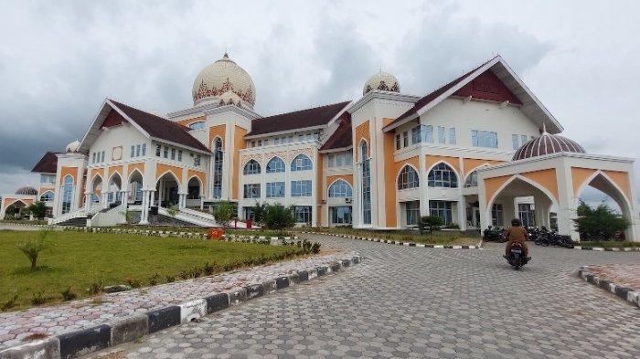 Ternak Jangkrik Mudah dan Praktis Bagi Pemula – Kebun.co.id