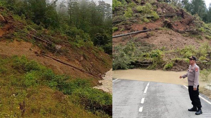 Ternak jangkrik di Pining, Gayo Lues