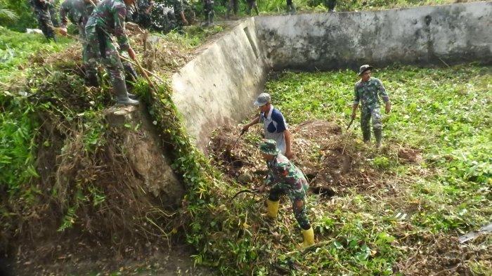 Harga Telur Jangkrik Alam – Silahkan Hubungi 085646415014 – Budidaya ...