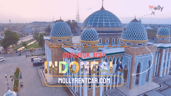 Cara Beternak Jangkrik Kalung: Januari 2014