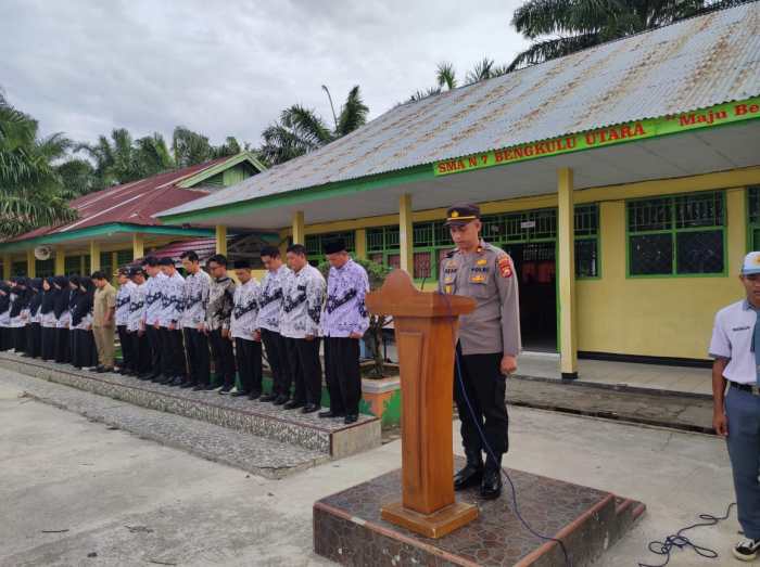 Info Lengkap Mengenai Ayam Arab HOBI TERNAK