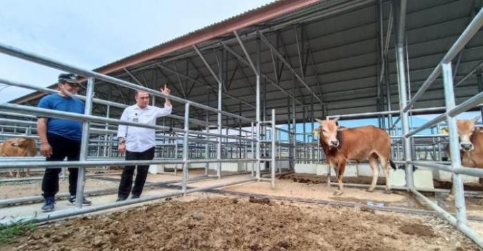 Kementan Dorong Pengembangan Sapi Aceh Di BPTU HPT Indrapuri