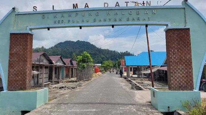 Ternak jangkrik di Pulau Banyak Barat Aceh Singkil
