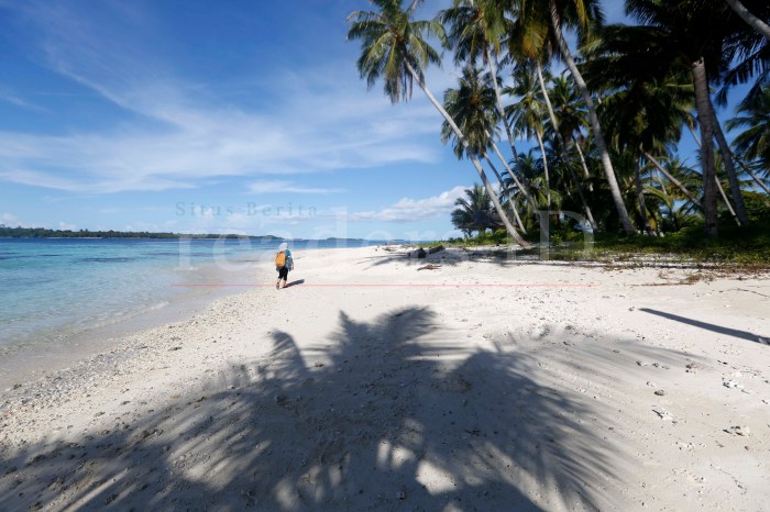 Ternak jangkrik di Pulau Banyak Barat Aceh Singkil