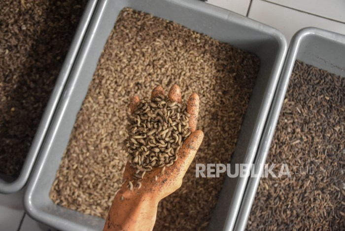 Banjir dari Luapan Sungai Uram di Lebong yang Rendam Ratusan Rumah dan ...