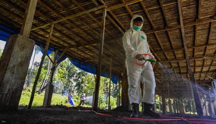 Ternak di Darul Imarah Aceh Besar