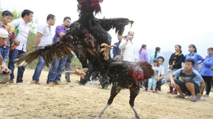 Pemkab Pesawaran Gelar Pangan Murah di Marga Punduh