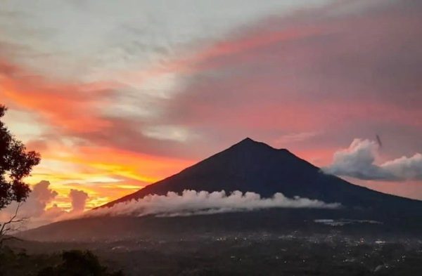 Ayam arab di Gunung Alip, Tanggamus
