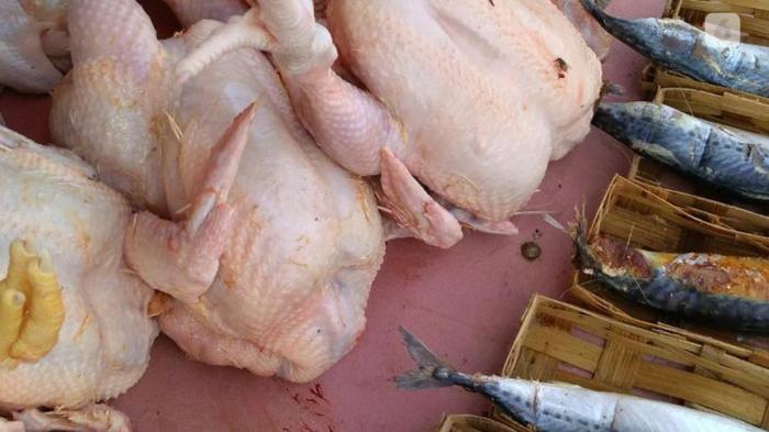 Harga Ayam Kampung Tembus Rp 150 Ribu per Ekor - Bisnis Liputan6.com Harga ayam kampung di Lembah Seulawah Aceh Besar