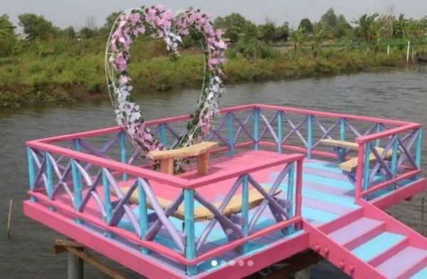 Ayam arab di Rawa Jitu Selatan, Tulang Bawang