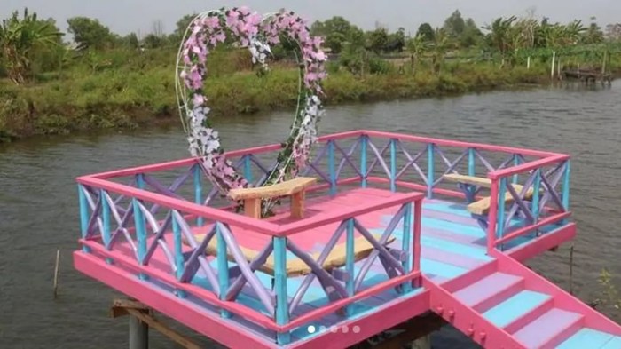 Jual DOC Ayam arab - bibit ayam arab - ayam kampung arab - Jakarta ... Ayam arab di Rawa Jitu Selatan, Tulang Bawang