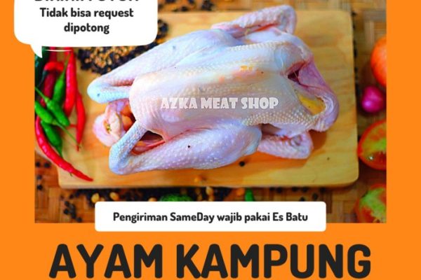 Jual Ayam Kampung Ukuran 0,9-1 Kg | Shopee Indonesia