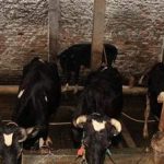 Masyarakat Simpang Tiga Aceh Besar Serbu Pasar Murah