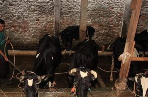 Masyarakat Simpang Tiga Aceh Besar Serbu Pasar Murah