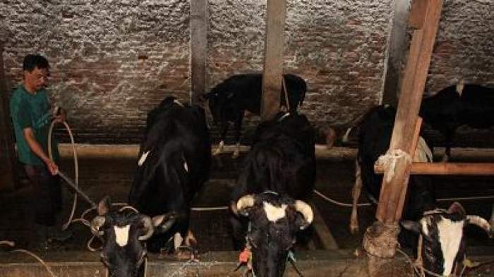 Masyarakat Simpang Tiga Aceh Besar Serbu Pasar Murah Masyarakat Simpang Tiga Aceh Besar Serbu Pasar Murah