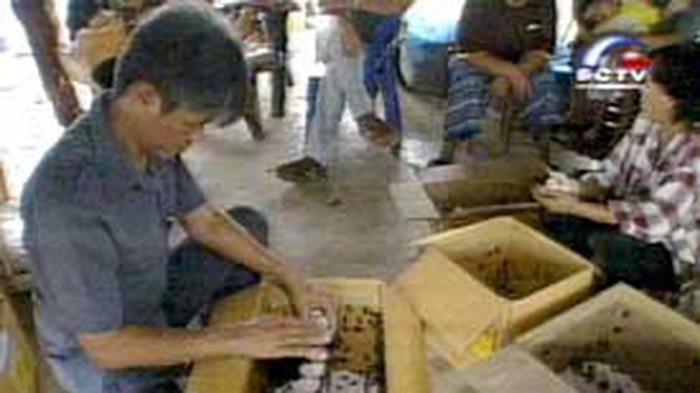 Analisa Usaha Ternak Jangkrik serta Estimasi Modal Yang Diperlukan Ternak jangkrik di Terangon, Gayo Lues