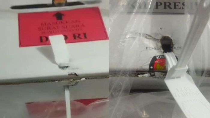 Ayam arab di Way Khilau, Pesawaran