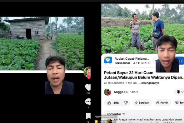 Bukti Baru Ungkap Bagaimana Ayam Didomestikasi