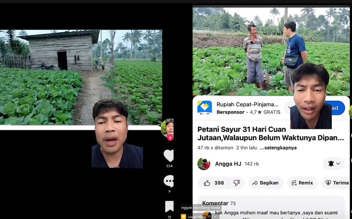 Bukti Baru Ungkap Bagaimana Ayam Didomestikasi