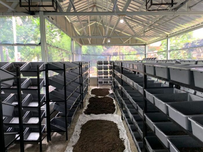 Melihat Budidaya Maggot untuk Pakan Ternak di Desa Wisata Sumberharjo ... Budidaya maggot pemula di Darul Kamal Aceh Besar