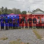 Cara Ternak Jangkrik Secara Alami Untuk Pemula: Persiapa Kandang ...