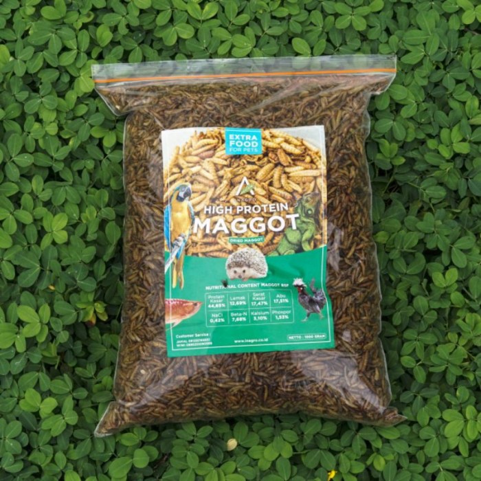 Jual DRY MAGGOT/ PAKAN TERNAK/ MAGGOT KERING 1000 Gr | Shopee Indonesia Jual DRY MAGGOT/ PAKAN TERNAK/ MAGGOT KERING 1000 Gr | Shopee Indonesia