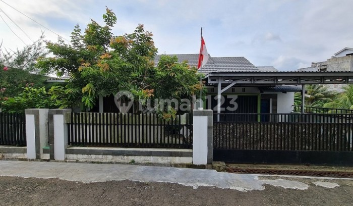 Hari Pertama Puasa, Harga Daging Ayam dan Daging Sapi di Bengkulu Utara ... Ayam arab di Singaran Pati, Kota Bengkulu