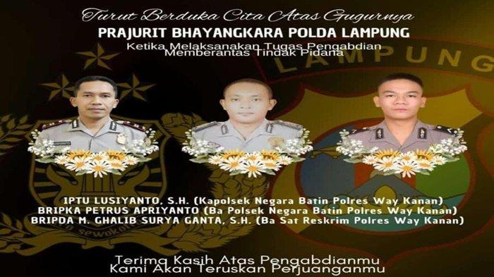 Mengembangkan Usaha Ternak Ayam Arab: Panduan untuk Pemula (Part 2 ... Ayam arab di Negara Batin, Way Kanan