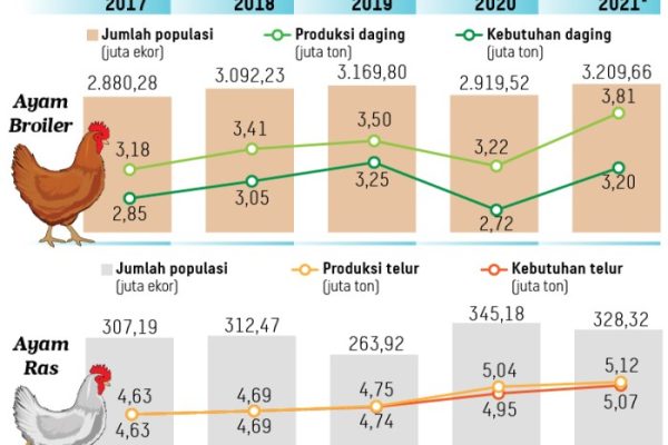 Peternakan ayam kampung di Boyolali, Kab. Boyolali
