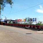 Ternak jangkrik di Kota Sigli, Pidie