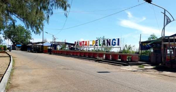 Ternak jangkrik di Kota Sigli, Pidie