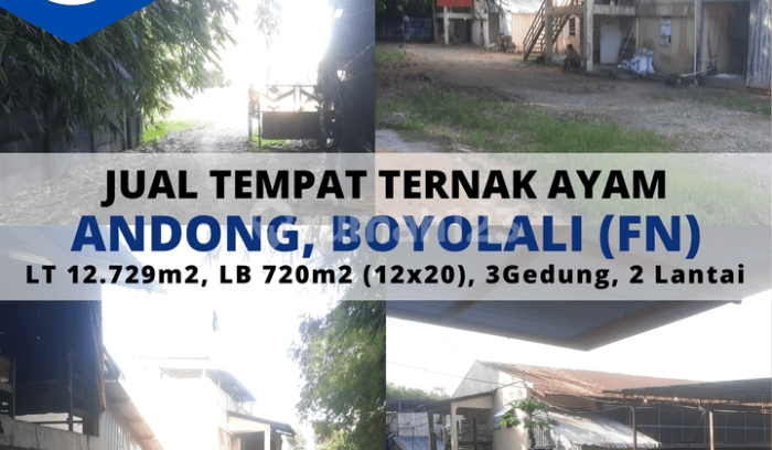 Korporasi Pembangunan Desa