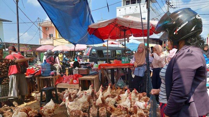 Populasi Ayam Petelur Di Jatim 52,9 Juta ekor, 28 Persen Dari Populasi ... Populasi Ayam Petelur Di Jatim 52,9 Juta ekor, 28 Persen Dari Populasi ...