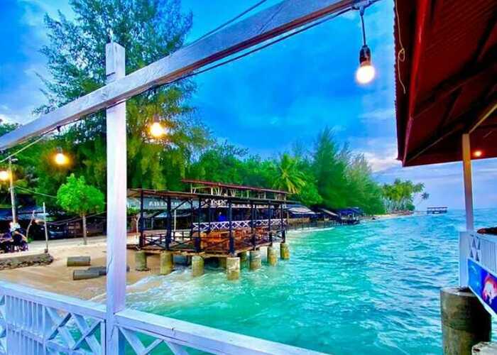 Bukan Bisnis Baru, Ternak Jangkrik Di Jogjakarta Tetap Menguntungkan Ternak jangkrik di Labuhan Haji, Aceh Selatan