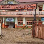 Ternak jangkrik di Trumon, Aceh Selatan