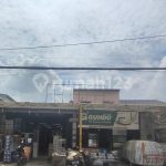 Ayam arab di Tebat Karai, Kepahiang