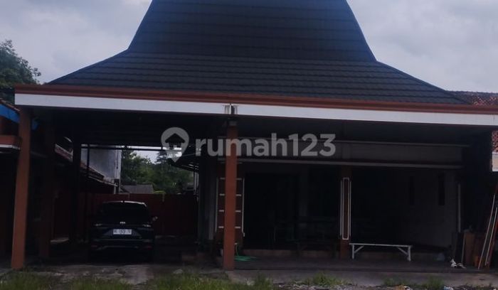 Informasi Lengkap Mengenai Ayam Arab Ayam arab di Lambu Kibang, Tulang Bawang Barat