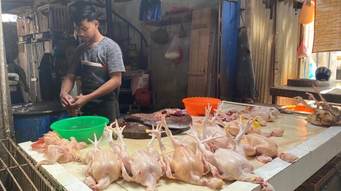 Harga ayam kampung di Mesjid Raya Aceh Besar