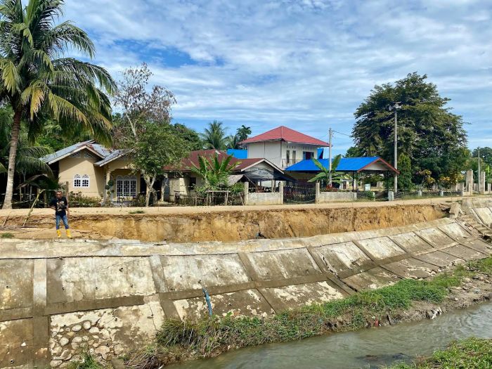 Ternak jangkrik di Kuta Makmur, Aceh Utara