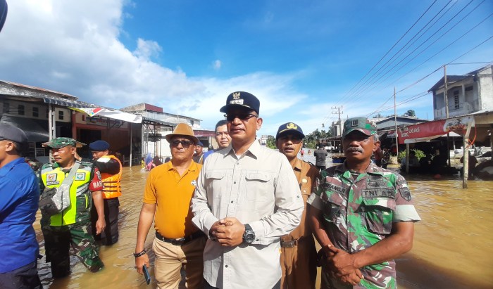 Polres Aceh Selatan Temukan Ladang Ganja di Trumon Tengah - SABANGINFO Polres Aceh Selatan Temukan Ladang Ganja di Trumon Tengah - SABANGINFO
