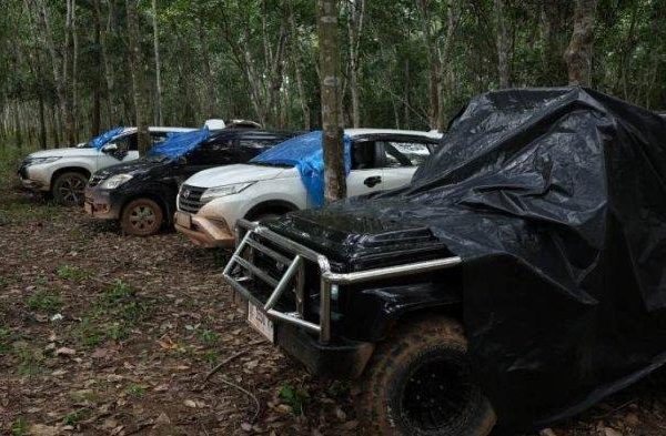 Ayam arab di Way Tuba, Way Kanan