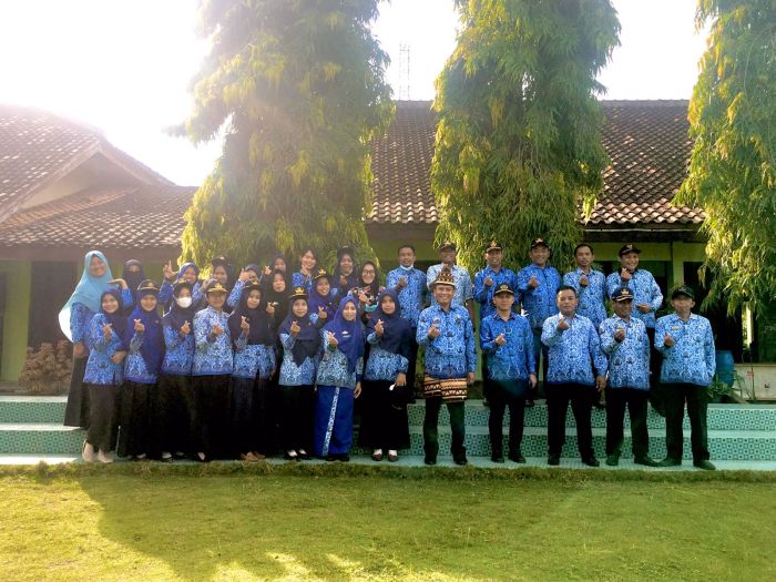 Cek Keunggulan Ayam Arab yang Menguntungkan Bagi Peternak - HOBI TERNAK Ayam arab di Pasir Sakti, Lampung Timur